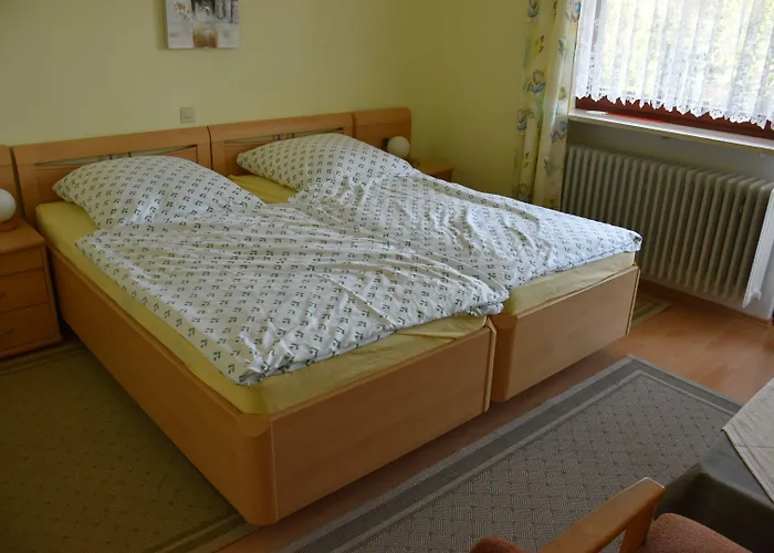 Estalagem Gaestehaus Am Schlossberg Friedenfels